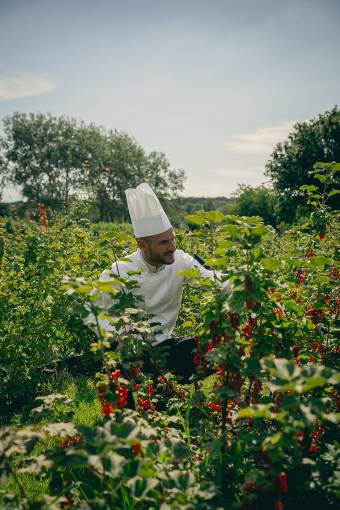 chef potager zeste