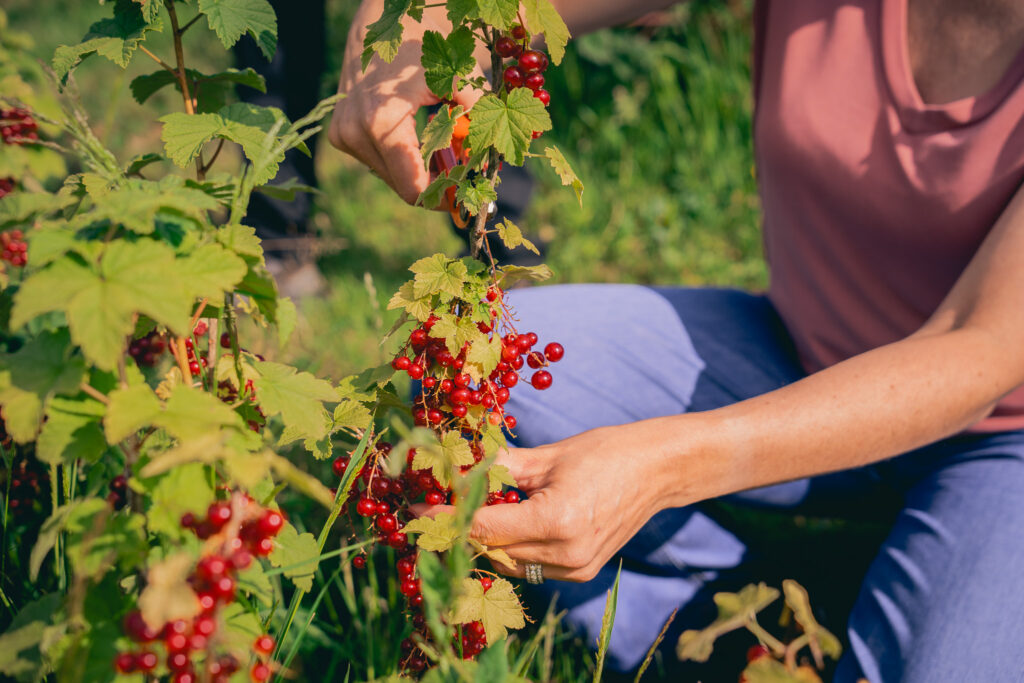 engagement rse zeste traiteur